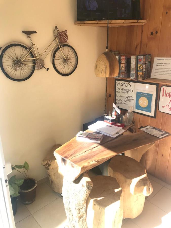 Cabanas Salamandras Avandaro Valle de Bravo Dış mekan fotoğraf