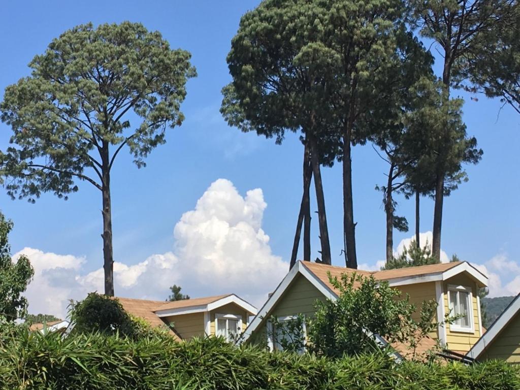 Cabanas Salamandras Avandaro Valle de Bravo Dış mekan fotoğraf